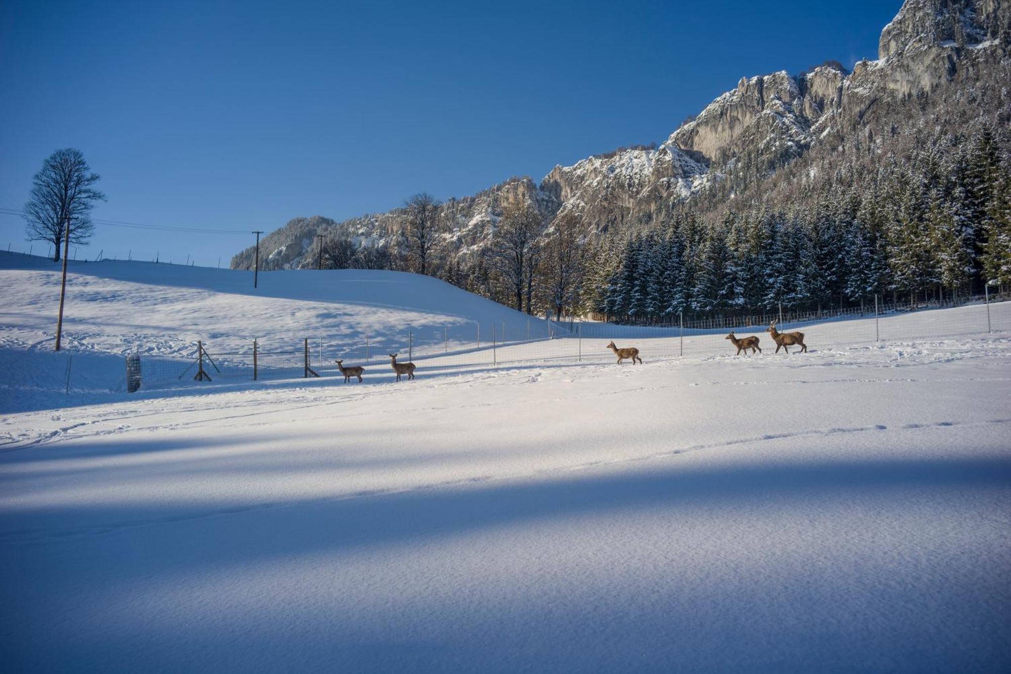 Hotel Berghof Haselsberger Sankt Johann in Tirol Exterior foto